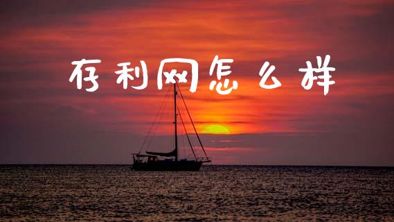 存利网怎么样_https://cj004.lansai.wang_外汇交易_第1张