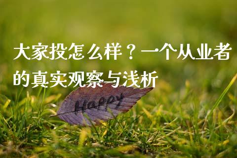 大家投怎么样？一个从业者的真实观察与浅析_https://cj004.lansai.wang_全球市场_第1张