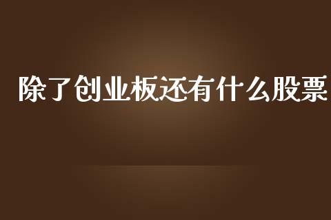 除了创业板还有什么股票_https://cj004.lansai.wang_金融监管_第1张