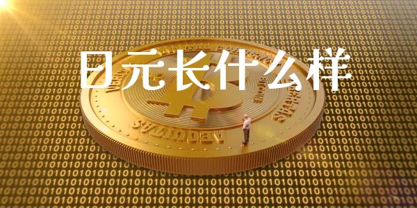 日元长什么样_https://cj004.lansai.wang_金融监管_第1张