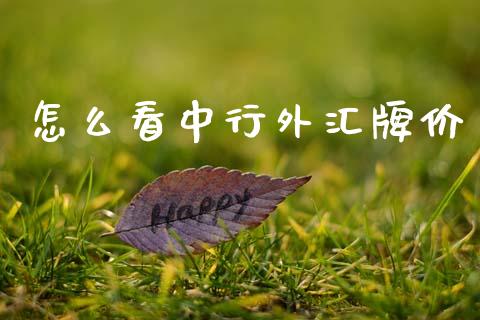 怎么看中行外汇牌价_https://cj004.lansai.wang_外汇交易_第1张