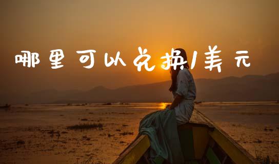 哪里可以兑换1美元_https://cj004.lansai.wang_全球市场_第1张