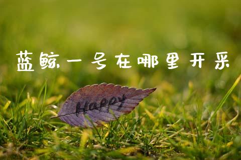 蓝鲸一号在哪里开采_https://cj004.lansai.wang_全球市场_第1张