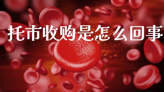 托市收购是怎么回事_https://cj004.lansai.wang_财经新闻_第1张