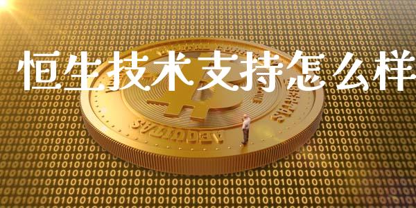 恒生技术支持怎么样_https://cj004.lansai.wang_债券资讯_第1张