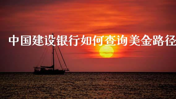 中国建设银行如何查询美金路径_https://cj004.lansai.wang_外汇交易_第1张