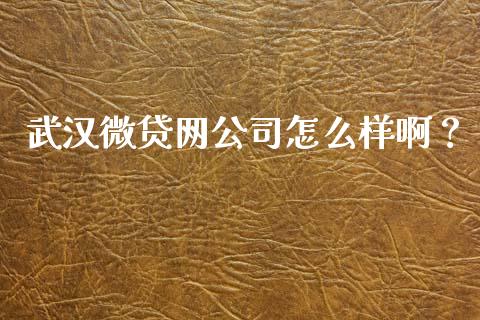 武汉微贷网公司怎么样啊?_财经新闻_第1张_期货开户_金融监管_外汇交易_债券资讯_全球市场_财经新闻 武汉微贷网公司怎么样啊?_https://cj004.lansai.wang_财经新闻_第1张