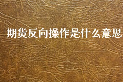 期货反向操作是什么意思_https://cj004.lansai.wang_外汇交易_第1张