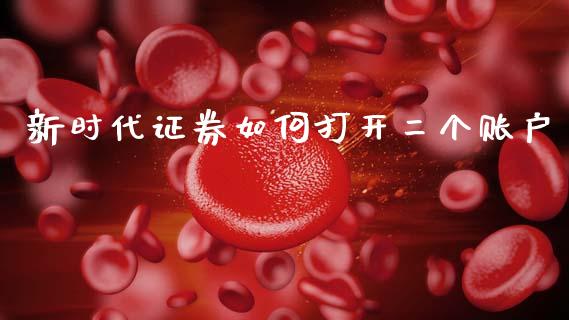 新时代证券如何打开二个账户_https://cj004.lansai.wang_金融监管_第1张