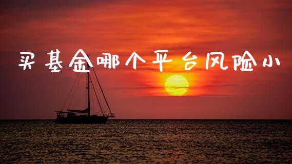 买基金哪个平台风险小_https://cj004.lansai.wang_债券资讯_第1张