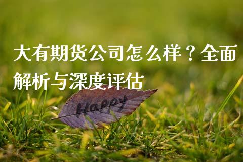 大有期货公司怎么样？全面解析与深度评估_https://cj004.lansai.wang_期货开户_第1张