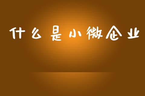 什么是小微企业_https://cj004.lansai.wang_全球市场_第1张