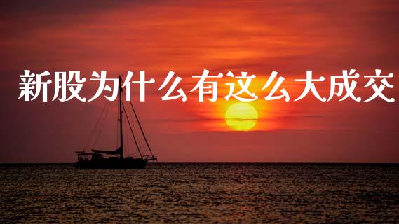 新股为什么有这么大成交_https://cj004.lansai.wang_全球市场_第1张