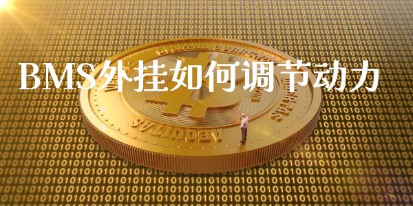 BMS外挂如何调节动力_https://cj004.lansai.wang_全球市场_第1张