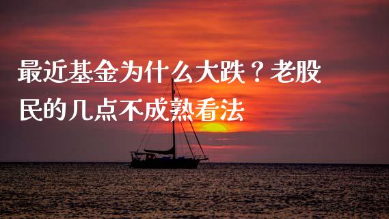 最近基金为什么大跌？老股民的几点不成熟看法_https://cj004.lansai.wang_债券资讯_第1张