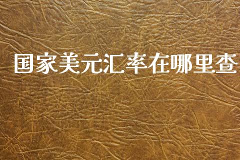 国家美元汇率在哪里查_https://cj004.lansai.wang_全球市场_第1张