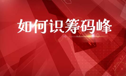 如何识筹码峰_https://cj004.lansai.wang_债券资讯_第1张