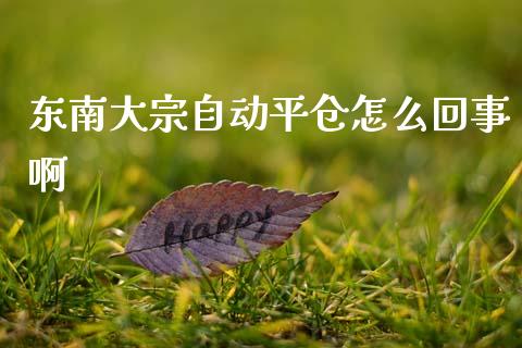 东南大宗自动平仓怎么回事啊_https://cj004.lansai.wang_外汇交易_第1张