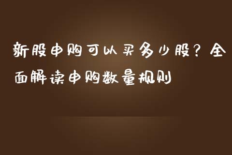 新股申购可以买多少股？全面解读申购数量规则_https://cj004.lansai.wang_外汇交易_第1张