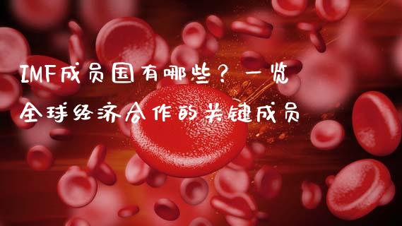 IMF成员国有哪些？一览全球经济合作的关键成员_https://cj004.lansai.wang_财经新闻_第1张
