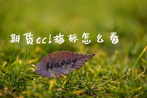 期货ccl指标怎么看_https://cj004.lansai.wang_财经新闻_第1张