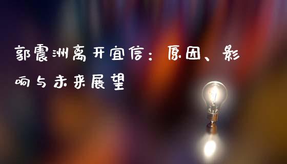 郭震洲离开宜信：原因、影响与未来展望_https://cj004.lansai.wang_金融监管_第1张