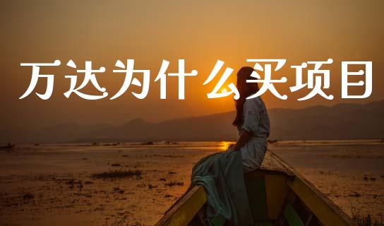 万达为什么买项目_https://cj004.lansai.wang_债券资讯_第1张