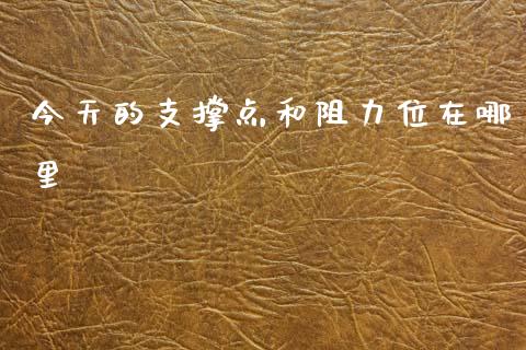 今天的支撑点和阻力位在哪里_https://cj004.lansai.wang_全球市场_第1张