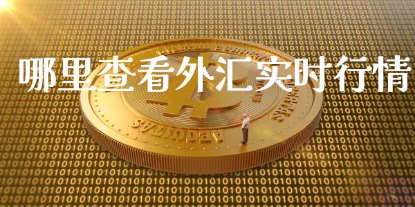 哪里查看外汇实时行情_https://cj004.lansai.wang_债券资讯_第1张