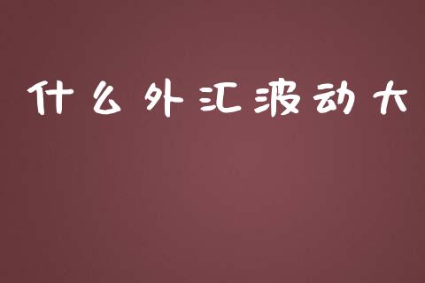 什么外汇波动大_https://cj004.lansai.wang_债券资讯_第1张