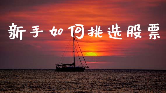新手如何挑选股票_https://cj004.lansai.wang_债券资讯_第1张