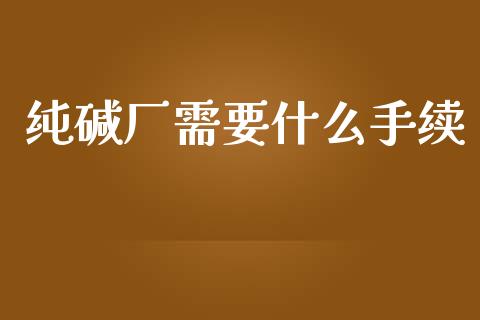 纯碱厂需要什么手续_https://cj004.lansai.wang_金融监管_第1张