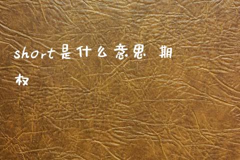 short是什么意思 期权_https://cj004.lansai.wang_全球市场_第1张