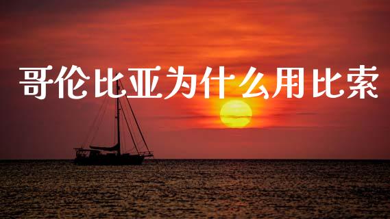 哥伦比亚为什么用比索_https://cj004.lansai.wang_外汇交易_第1张