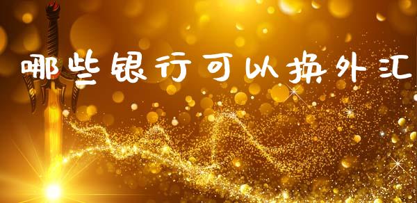 哪些银行可以换外汇_https://cj004.lansai.wang_金融监管_第1张