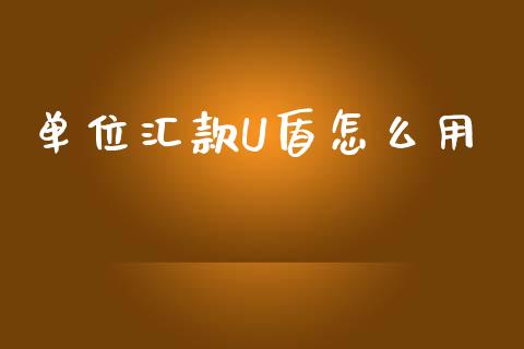 单位汇款U盾怎么用_https://cj004.lansai.wang_外汇交易_第1张