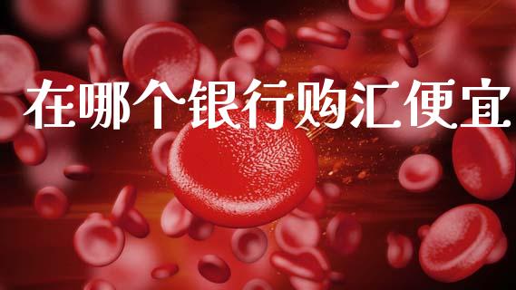 在哪个银行购汇便宜_https://cj004.lansai.wang_债券资讯_第1张