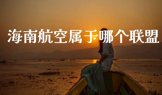 海南航空属于哪个联盟_https://cj004.lansai.wang_财经新闻_第1张