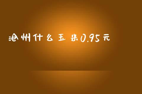 沧州什么玉米0.95元_https://cj004.lansai.wang_金融监管_第1张
