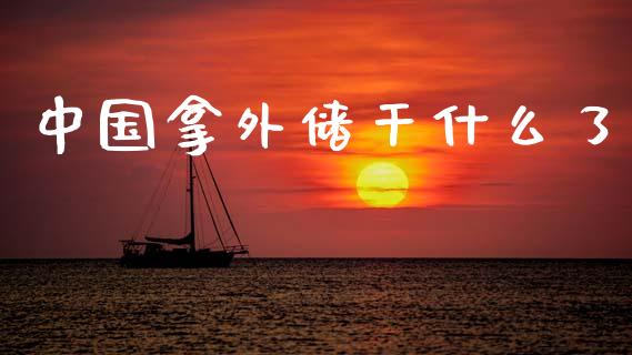 中国拿外储干什么了_https://cj004.lansai.wang_外汇交易_第1张