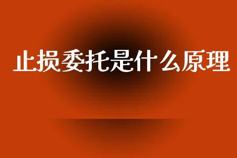 止损委托是什么原理_https://cj004.lansai.wang_外汇交易_第1张