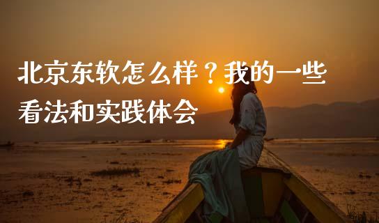 北京东软怎么样？我的一些看法和实践体会_https://cj004.lansai.wang_全球市场_第1张