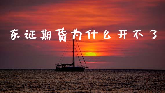东证期货为什么开不了_https://cj004.lansai.wang_全球市场_第1张