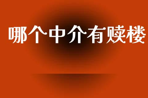 哪个中介有赎楼_https://cj004.lansai.wang_金融监管_第1张