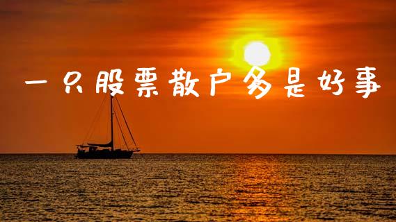 一只股票散户多是好事_https://cj004.lansai.wang_期货开户_第1张