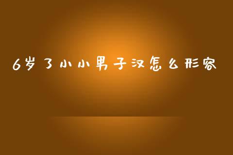 6岁了小小男子汉怎么形容_https://cj004.lansai.wang_全球市场_第1张