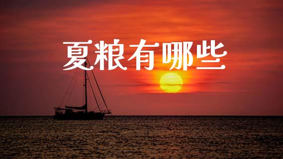 夏粮有哪些_https://cj004.lansai.wang_财经新闻_第1张