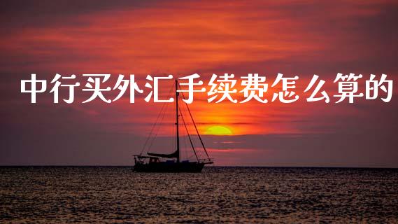 中行买外汇手续费怎么算的_https://cj004.lansai.wang_金融监管_第1张