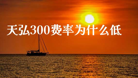 天弘300费率为什么低_https://cj004.lansai.wang_期货开户_第1张