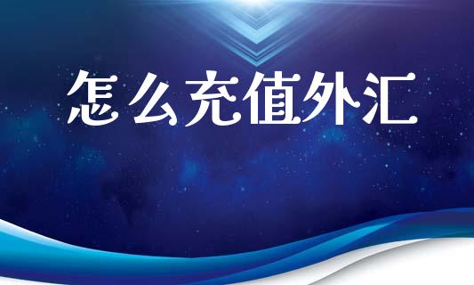 怎么充值外汇_https://cj004.lansai.wang_债券资讯_第1张